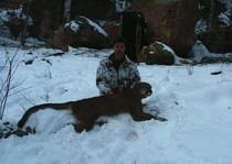 Mountain Lion Hunts