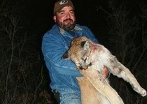 Mountain Lion Hunts