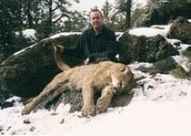 Mountain Lion Hunts