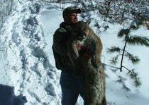 Mountain Lion Hunts