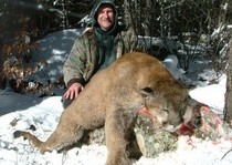 Mountain Lion Hunts