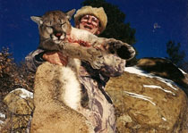 Mountain Lion Hunts