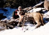 Mountain Lion Hunts