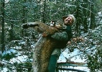 Mountain Lion Hunts