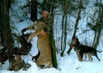 Mountain Lion Hunts