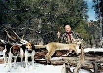 Mountain Lion Hunts