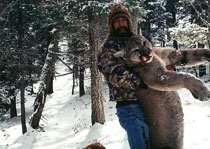 Mountain Lion Hunts