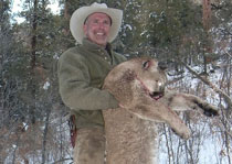 Mountain Lion Hunts