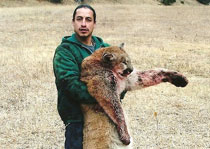 Mountain Lion Hunts