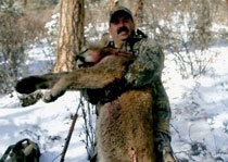 Mountain Lion Hunts