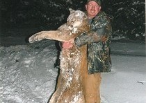 Mountain Lion Hunts