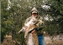 Mountain Lion Hunts