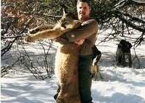 Mountain Lion Hunts