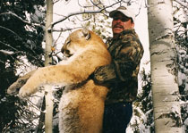 Mountain Lion Hunts