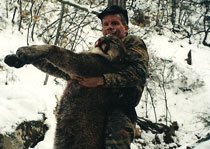 Mountain Lion Hunts