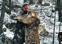 Mountain Lion Hunts