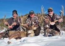 Mule Deer Hunts