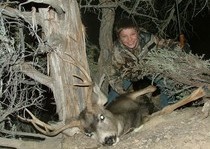 Mule Deer Hunts