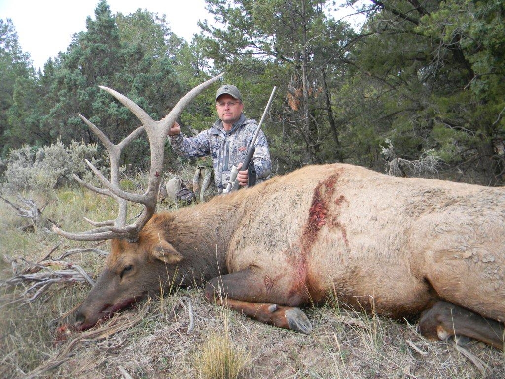 Rifle Elk Hunts - Unit  55